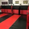 AK Athletic Equipment 20' X 10' - Roll-Up Martial Arts Flooring -Tumbl Trak shop 20152 1