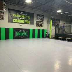 AK Athletic Equipment 24' X 24' Roll-Up Wrestling Mat -Tumbl Trak shop IMG 1541 scaled